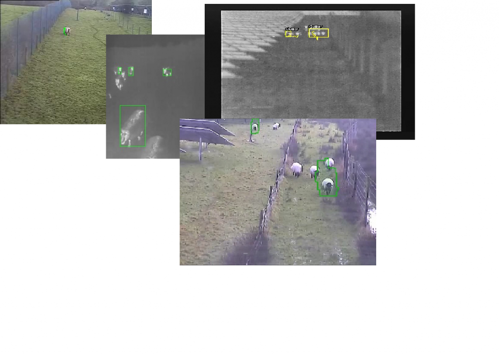 AI filtering out false alarms from weather, wildlife and livestock